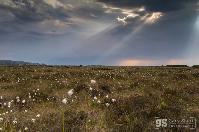 Gathering storm, Cors Fochno (Borth Bog) - Mid & South Wales images