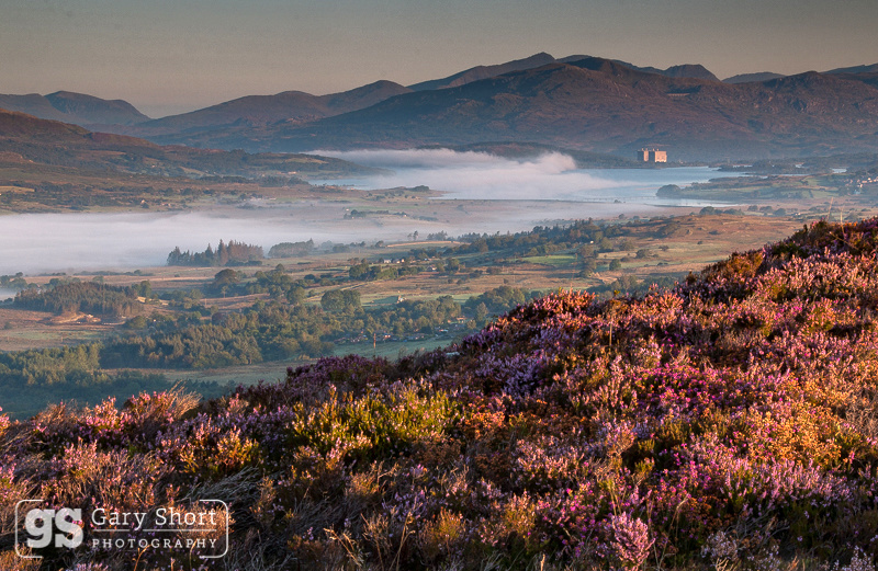 Misty morning, Llyn Trawsfynydd - Snowdonia images