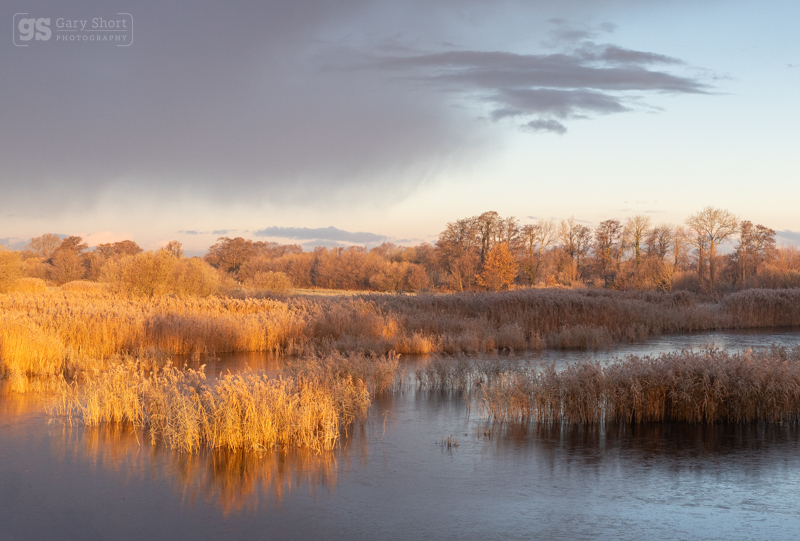Dawn light, Catcott - Latest images
