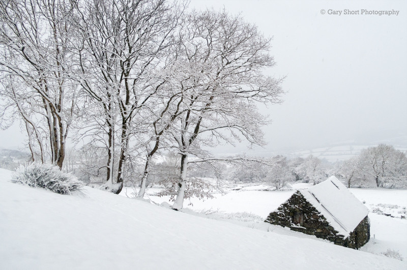 First snow of Winter - Snowdonia images