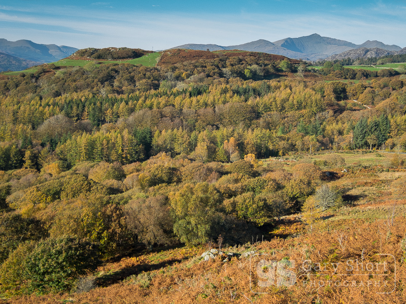 Autumn hues below Snowdon - Snowdonia images