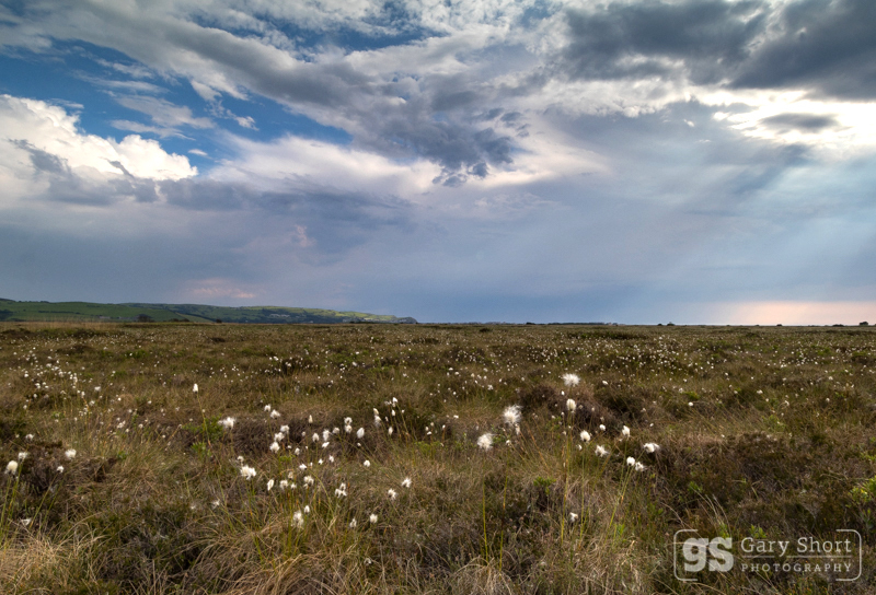 Storm looming, Cors Fochno (Borth Bog) - Mid & South Wales images