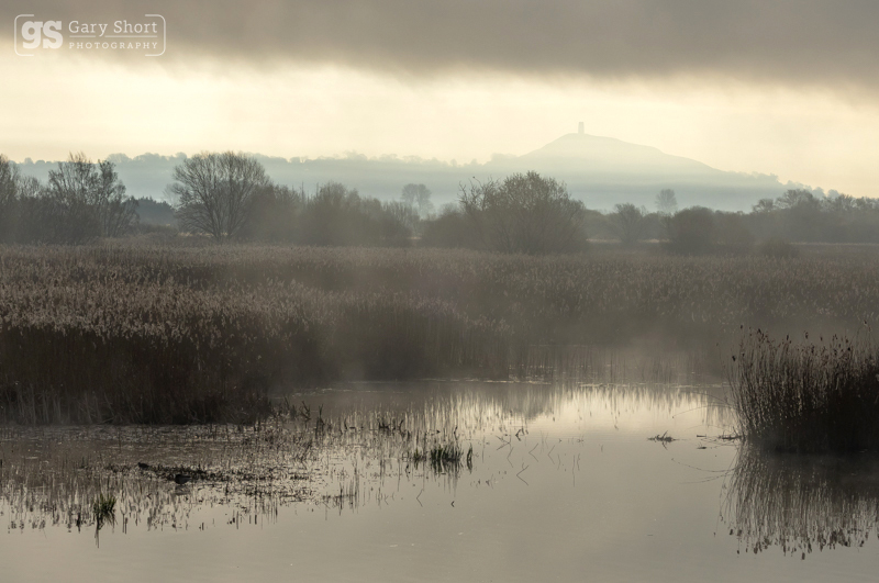 Glastonbury Tor through the mist - Latest images