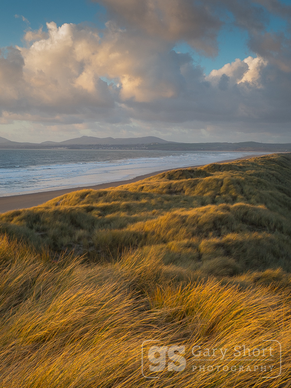 Harlech dunes in winter - Snowdonia images