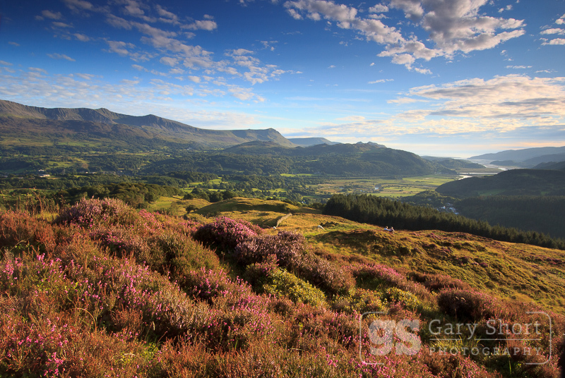 Mawddach view - Snowdonia images