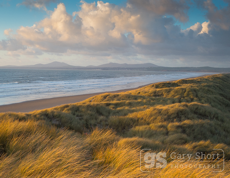Winter light, Harlech dunes - Snowdonia images