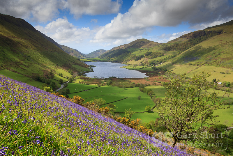 Tal-y-llyn spring - Snowdonia images