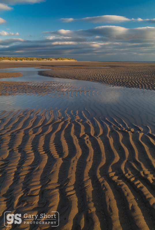 Evening light, Dyfi Estuary - Mid & South Wales images