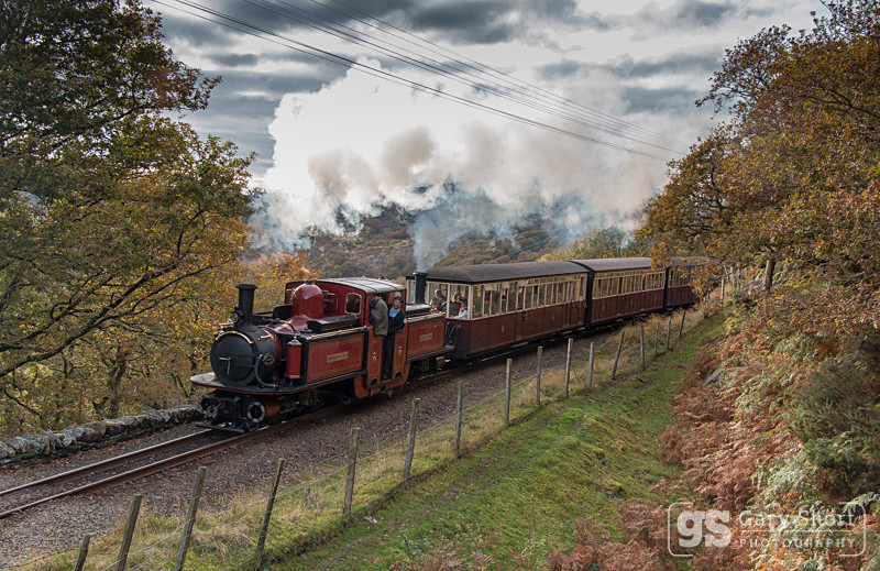 Ffestiniog Train, Coed Maentwrog - Snowdonia images