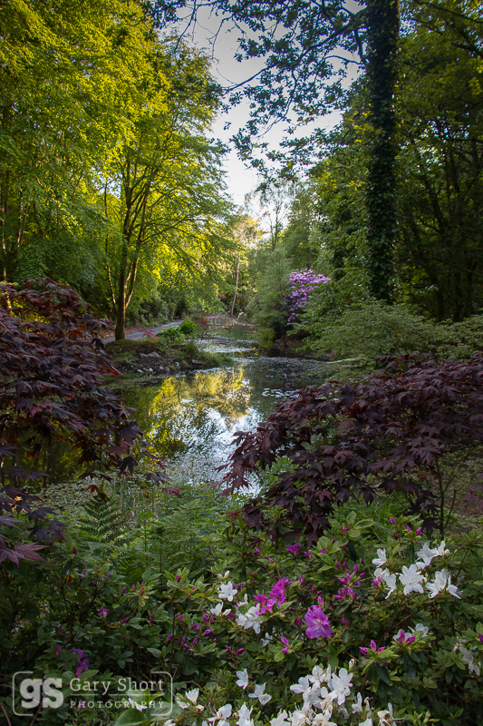 Portmeirion gardens - Portmeirion