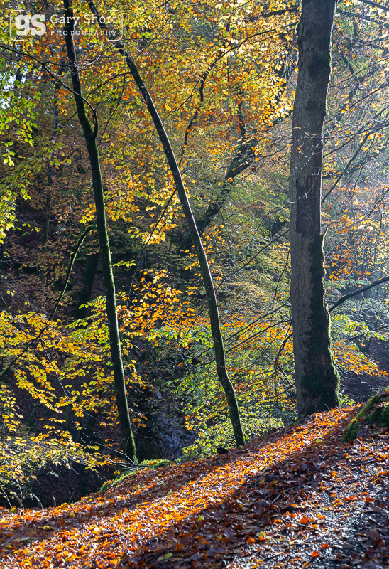 Autumn shadows - Snowdonia images