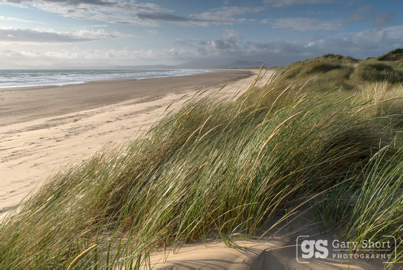 Morfa Harlech dunes - Snowdonia images