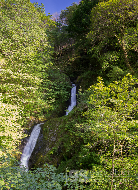 Dolgoch Falls - Snowdonia images