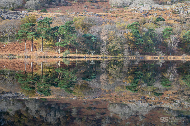 Autumn reflections, Llyn Gwynant - Snowdonia images