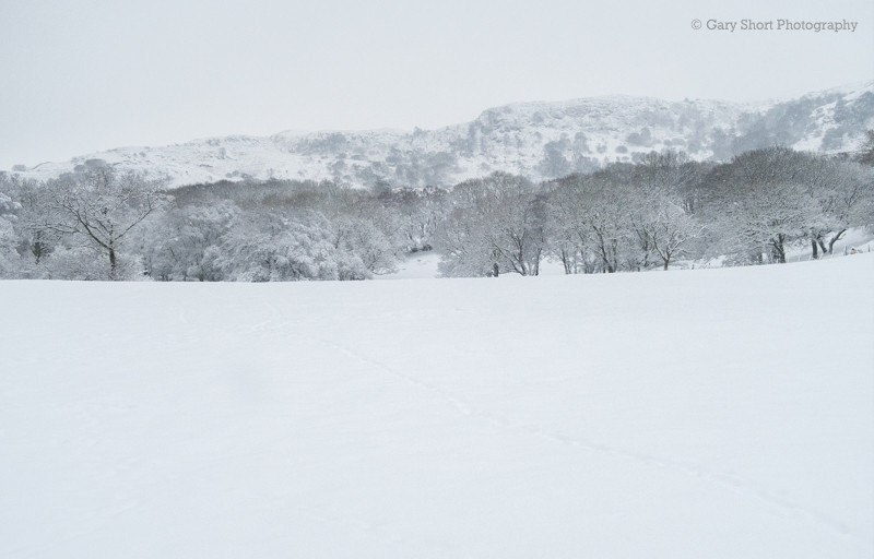 Wood & Snow III - Snowdonia images