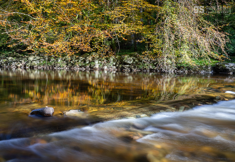 Afon Mawddach, Coed y Brenin - Snowdonia images