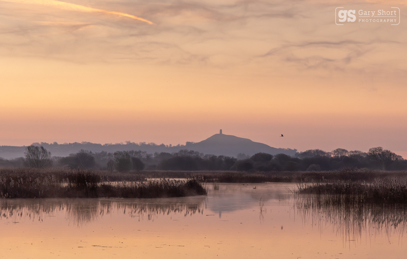 Morning reflection, Avalon Marshes - Latest images
