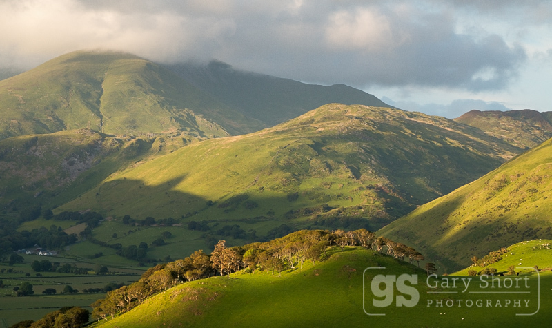 Evening light, Dysynni valley - Snowdonia images