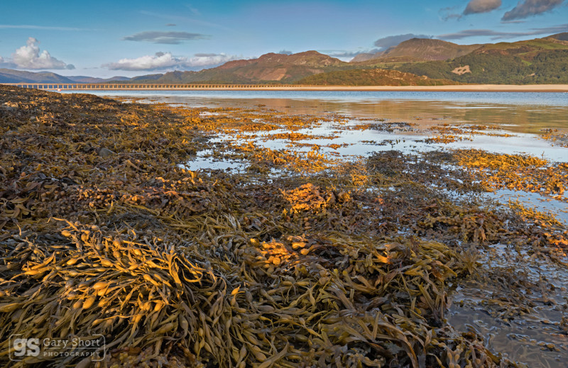 Mawddach Estuary & Barmouth bridge - Snowdonia images