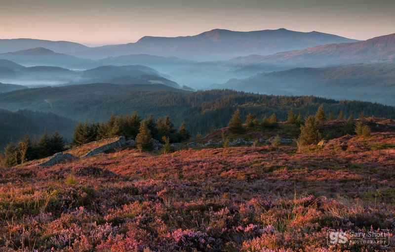 Dawn, Coed y Brenin