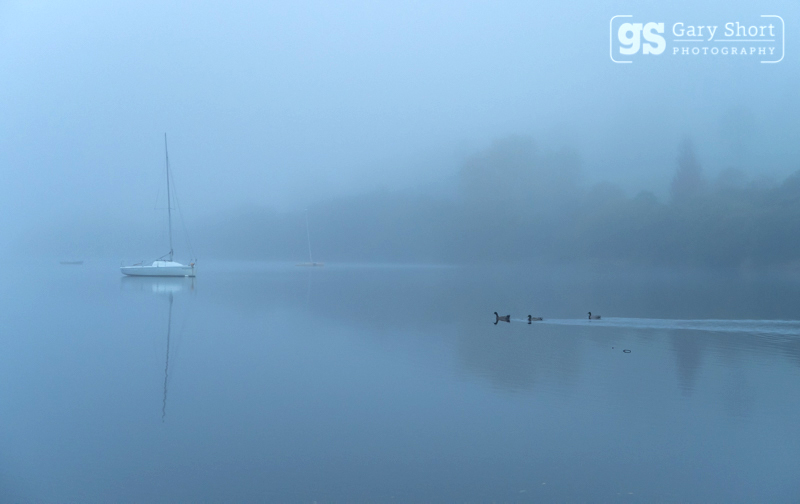 Misty dawn, Llyn Tegid - Snowdonia images