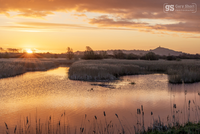 Sunrise over the Avalon Marshes - Latest images