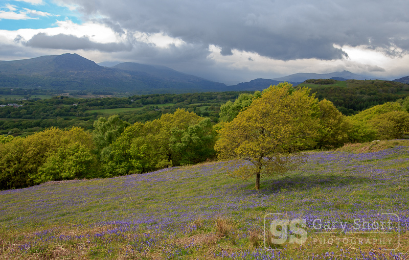 Spring storm over Moel Hebog - Snowdonia images