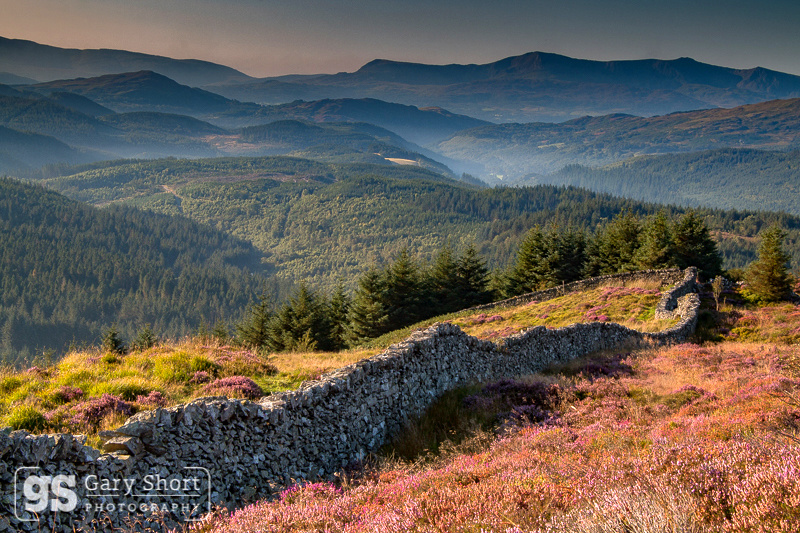 Coed y Brenin & Cadair Idris dawn - Snowdonia images
