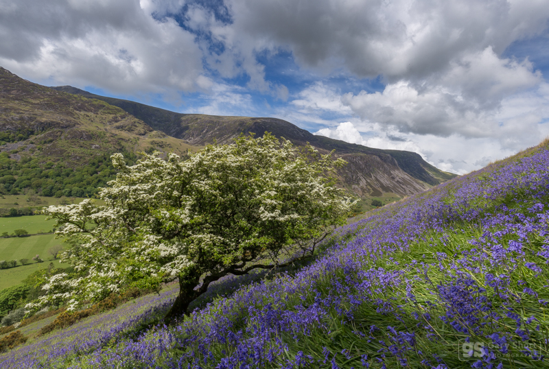 Spring day, Cadair Idris - Cadair Idris