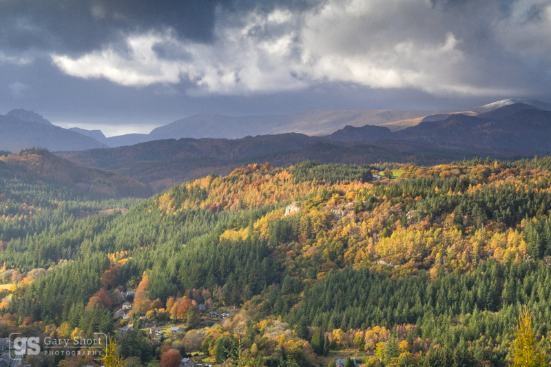 November light, Gwydir Forest - Snowdonia images