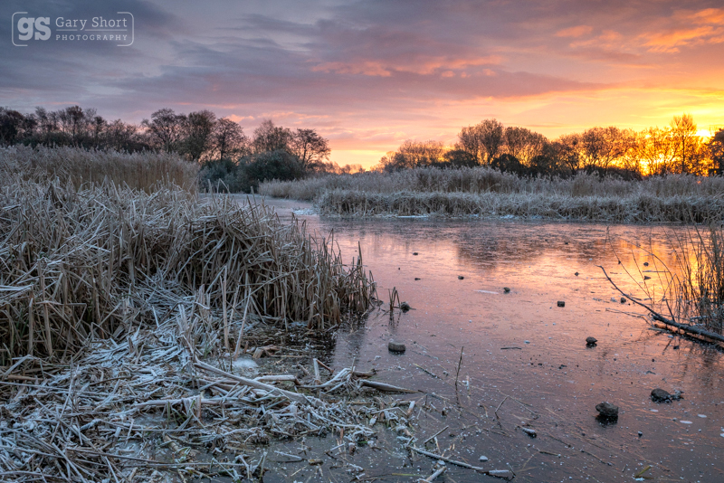 Frozen dawn, Avalon Marshes - Latest images