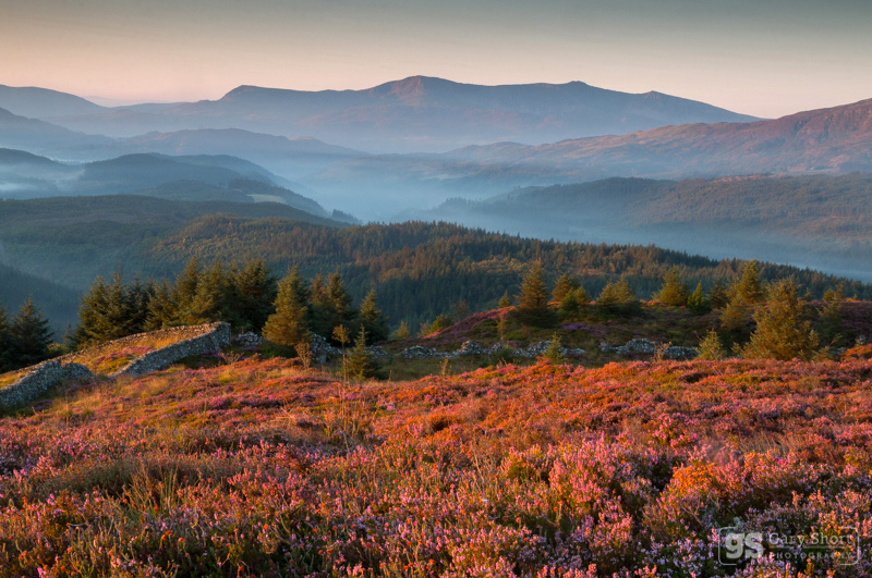 Coed y Brenin & Cadair Idris - Snowdonia images