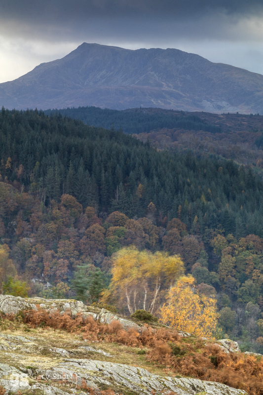 November winds, Moel Siabod - Snowdonia images
