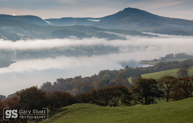 Misty morning, Llyn Tegid & Aran Benllyn_GS610 - Snowdonia images