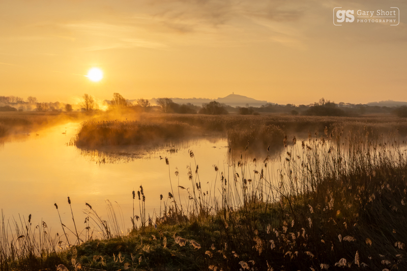 Avalon Marshes sunrise - Latest images