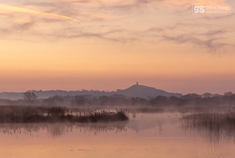 First light of Dawn, Avalon Marshes - Latest images