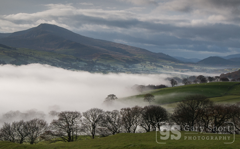 Misty morning, Aran Benllyn - Snowdonia images