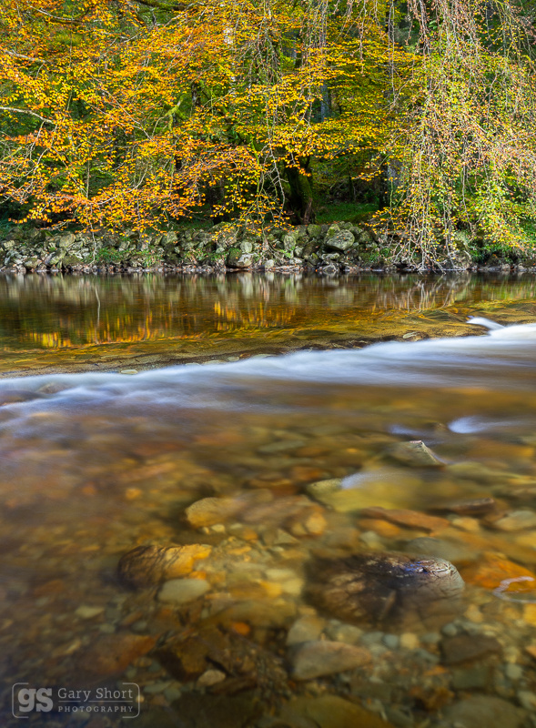 Mawddach reflections, Coed y Brenin - Snowdonia images