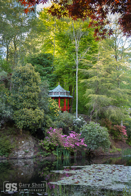 Portmeirion gardens - Portmeirion