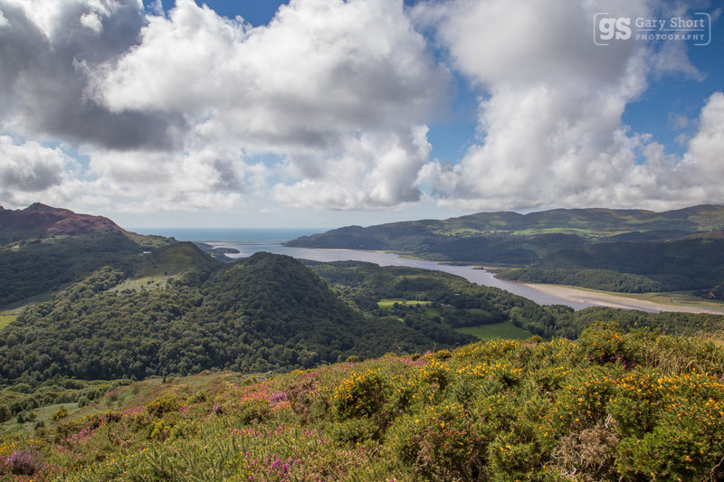 Late summer, Mawddach Estuary - Snowdonia images