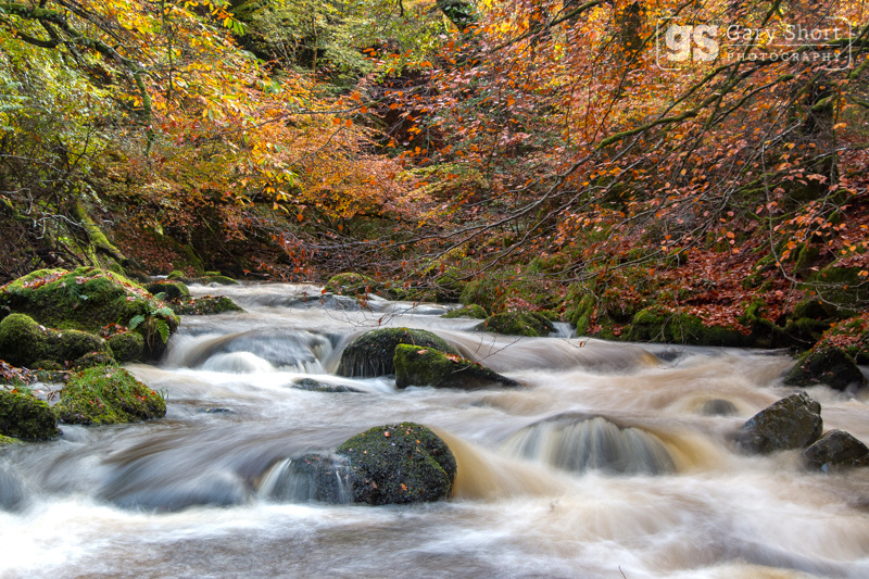 Afon Clywedog, late Autumn - Snowdonia images