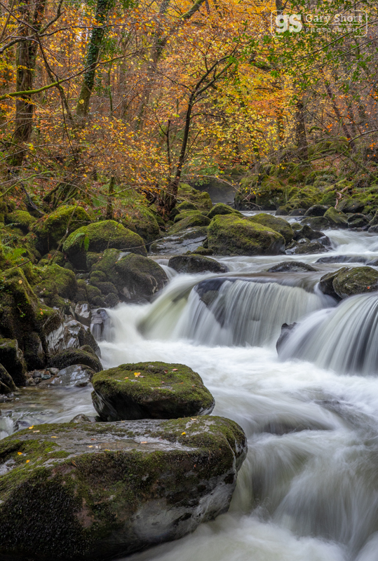 Autumn falls, Afon Clywedog - Snowdonia images
