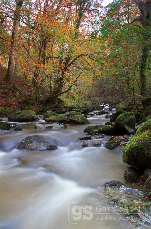 Afon Clywedog, autumn - Snowdonia images