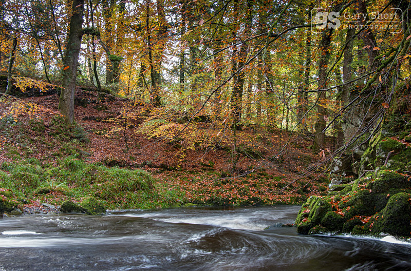 October light, Afon Clywedog - Snowdonia images