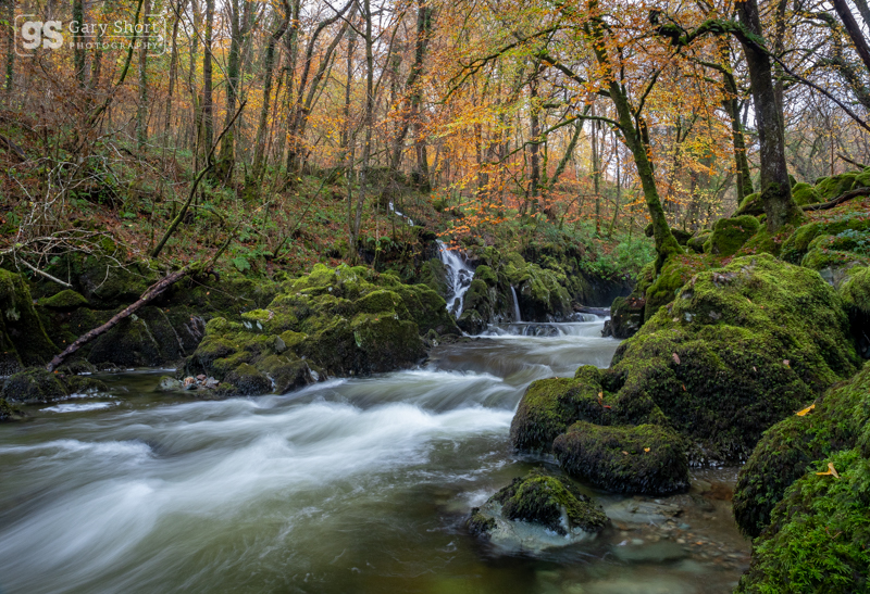 Autumn colour, Afon Clywedog - Snowdonia images