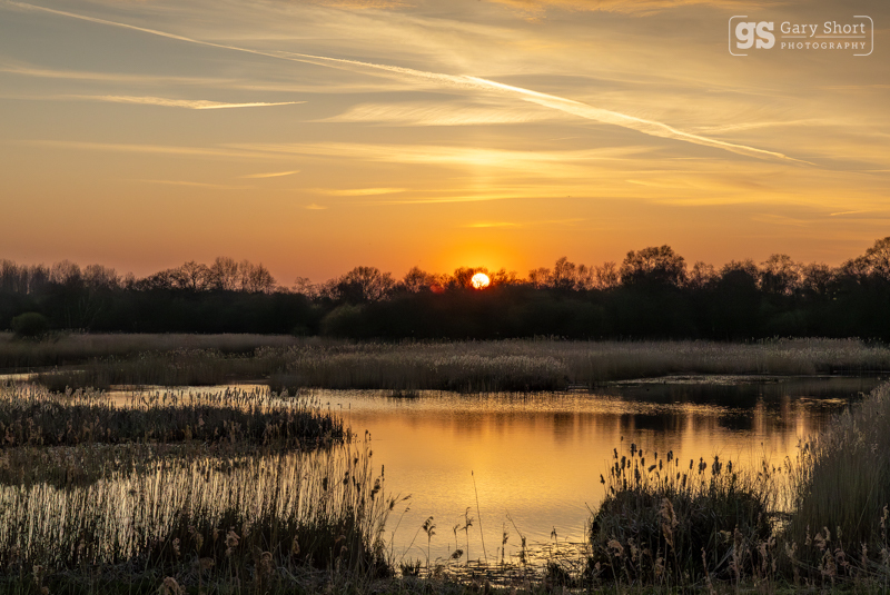 Sunset, Avalon Marshes - Latest images