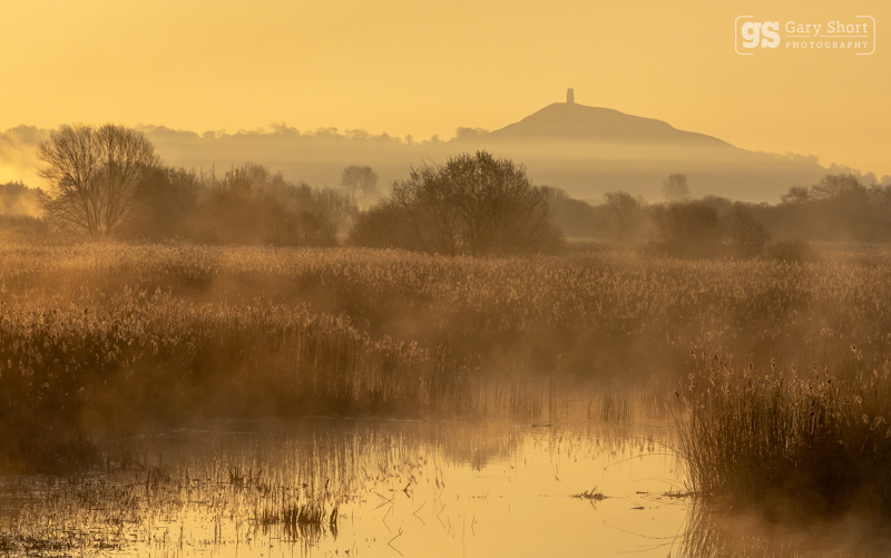 Morning mist, Glastonbury Tor - Latest images