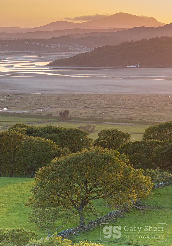 Portmeirion dusk - Portmeirion