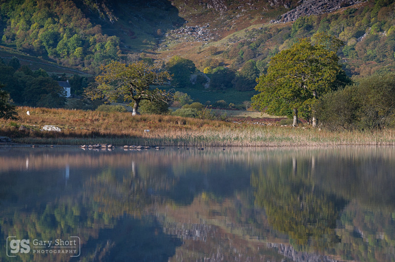 Cottage reflection, Llyn Crafnant - Snowdonia images
