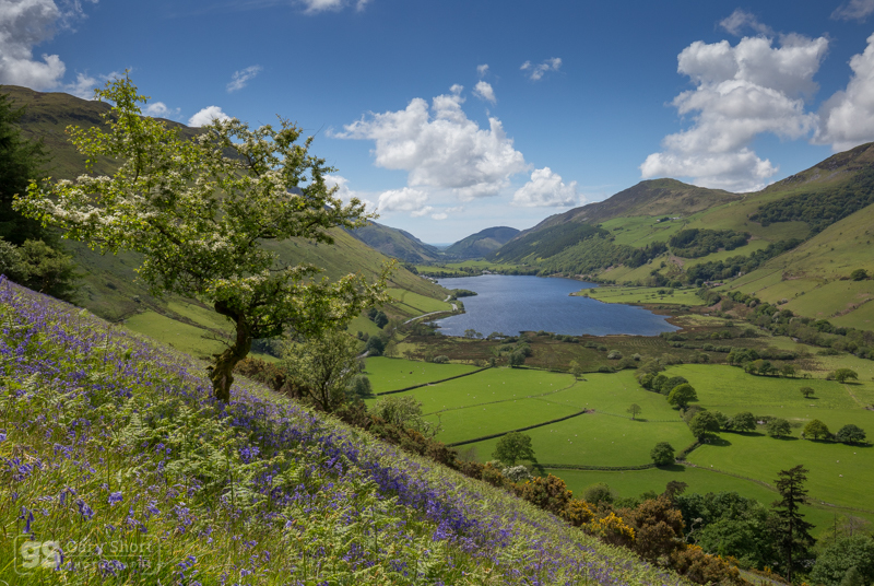 Tal-y-llyn spring - Snowdonia images